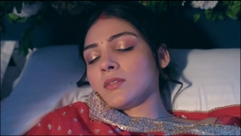 Megha Barsenge - 11th November 2024